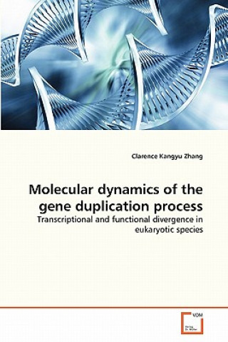 Könyv Molecular dynamics of the gene duplication process Clarence Kangyu Zhang