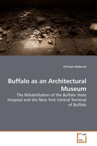 Carte Buffalo as an Architectural Museum Christyn Mobarak