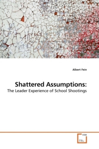 Książka Shattered Assumptions: Albert Fein