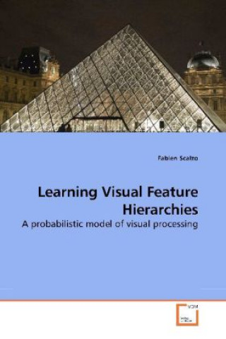 Carte Learning Visual Feature Hierarchies Fabien Scalzo