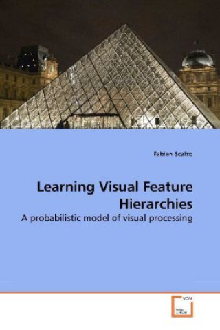 Knjiga Learning Visual Feature Hierarchies Fabien Scalzo