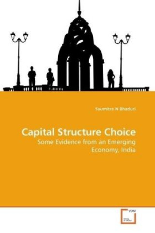 Kniha Capital Structure Choice Saumitra N Bhaduri