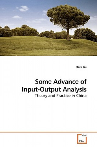 Buch Some Advance of Input-Output Analysis Xiuli Liu