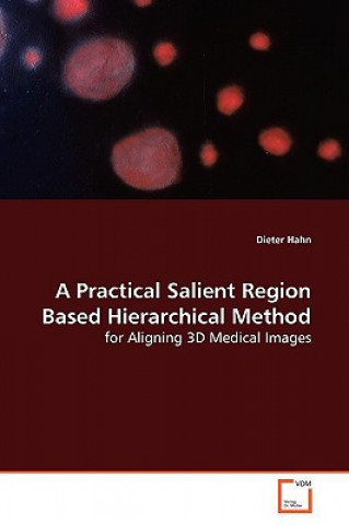 Książka Practical Salient Region Based Hierarchical Method Dieter Hahn