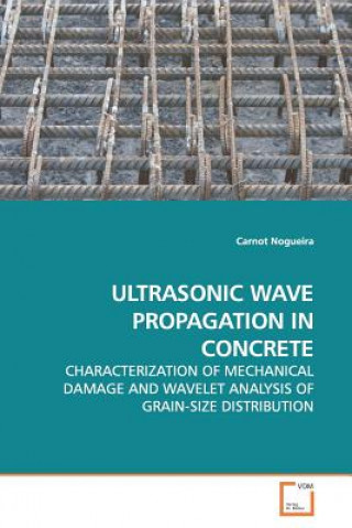 Книга Ultrasonic Wave Propagation in Concrete Carnot Nogueira