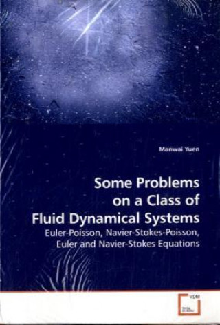 Buch Some Problems on a Class of Fluid Dynamical Systems Manwai Yuen