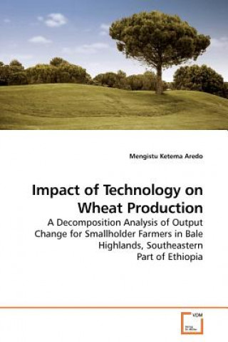 Könyv Impact of Technology on Wheat Production Mengistu K. Aredo