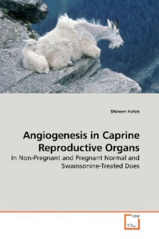 Buch Angiogenesis in Caprine Reproductive Organs Shireen Hafez