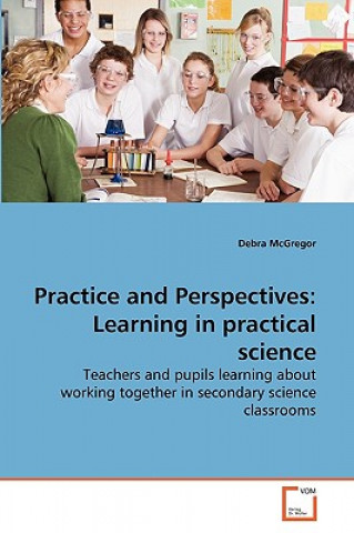 Buch Practice and Perspectives Debra McGregor