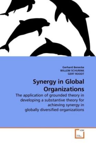 Kniha Synergy in Global Organizations Gerhard Benecke