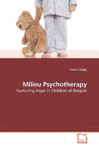 Livre Milieu Psychotherapy Lukas Jaeggi