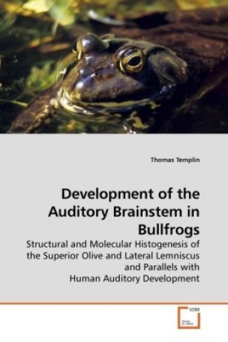 Carte Development of the Auditory Brainstem in Bullfrogs Thomas Templin
