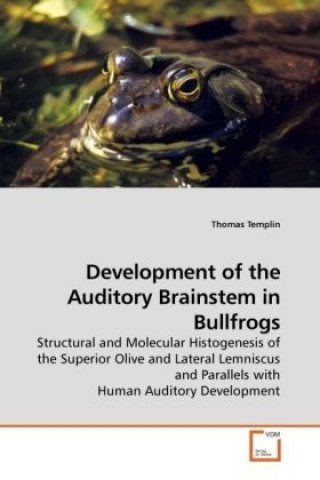 Kniha Development of the Auditory Brainstem in Bullfrogs Thomas Templin