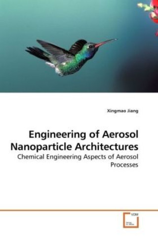 Kniha Engineering of Aerosol Nanoparticle Architectures Xingmao Jiang