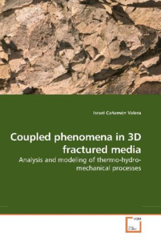 Knjiga Coupled phenomena in 3D fractured media Israel Cañamón Valera