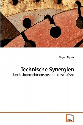Carte Technische Synergien Jürgen Aigner