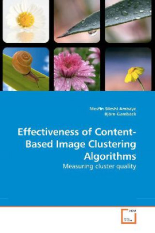 Buch Effectiveness of Content-Based Image Clustering Algorithms Mesfin Sileshi Ambaye