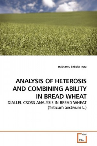 Könyv Analysis of Heterosis and Combining Ability in Bread Wheat Habtamu Seboka Tura