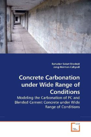 Buch Concrete Carbonation under Wide Range of Conditions Bahador Sabet Divsholi