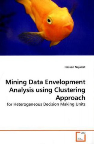 Buch Mining Data Envelopment Analysis using Clustering Approach Hassan Najadat