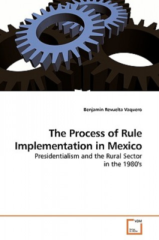 Kniha Process of Rule Implementation in Mexico Benjamin Revuelta Vaquero