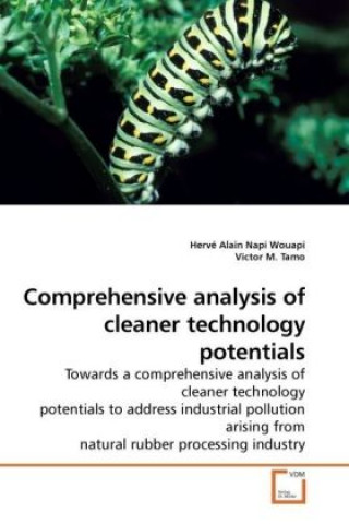 Kniha Comprehensive analysis of cleaner technology potentials Hervé Alain Napi Wouapi