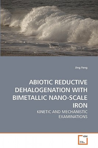 Kniha Abiotic Reductive Dehalogenation with Bimetallic Nano-Scale Iron Jing Feng