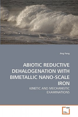 Buch Abiotic Reductive Dehalogenation with Bimetallic Nano-Scale Iron Jing Feng