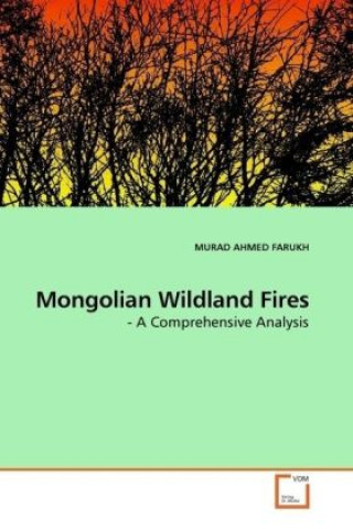 Kniha Mongolian Wildland Fires Murad A. Farukh