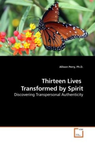 Buch Thirteen Lives Transformed by Spirit Allison Perry