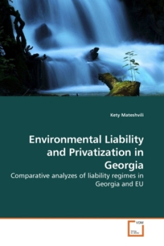 Könyv Environmental Liability and Privatization in Georgia Kety Mateshvili
