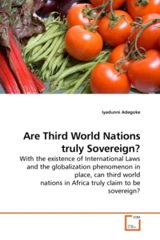 Kniha Are Third World Nations truly Sovereign? Iyadunni Adegoke