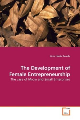 Kniha The Development of Female Entrepreneurship Kiros Habtu Ferede