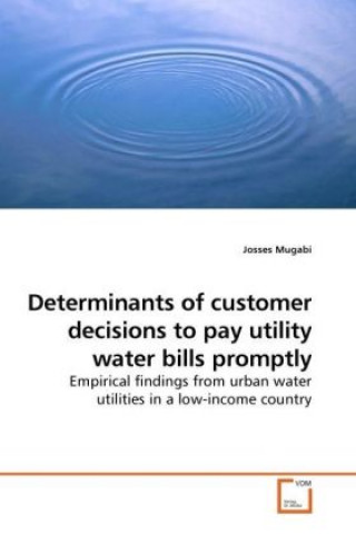 Kniha Determinants of customer decisions to pay utility water bills promptly Josses Mugabi