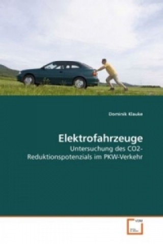 Kniha Elektrofahrzeuge Dominik Klauke
