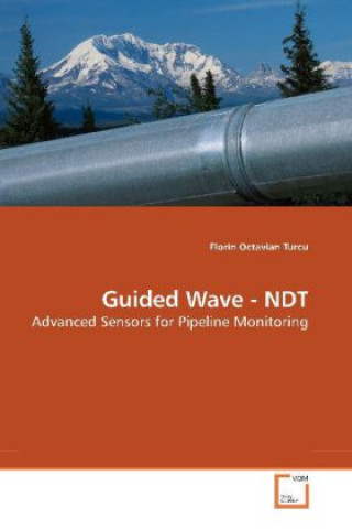 Książka Guided Wave - NDT Florin Octavian Turcu