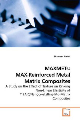 Książka MAXMETs: MAX-Reinforced Metal Matrix Composites Shahram Amini