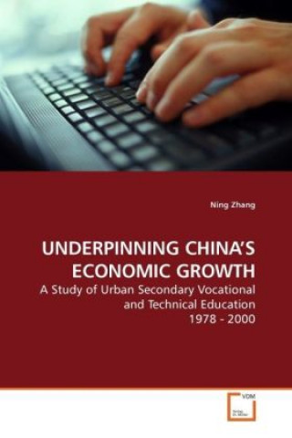 Livre UNDERPINNING CHINA S ECONOMIC GROWTH Ning Zhang