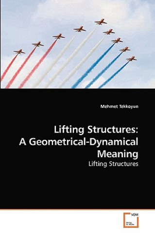 Knjiga Lifting Structures Mehmet Tekkoyun