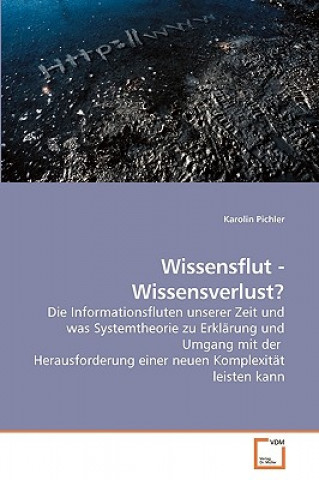 Książka Wissensflut - Wissensverlust? Karolin Pichler