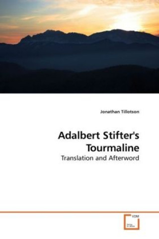 Książka Adalbert Stifter's Tourmaline Jonathan Tillotson