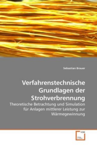 Knjiga Verfahrenstechnische Grundlagen der Strohverbrennung Sebastian Brauer