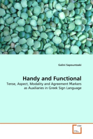 Könyv Handy and Functional Galini Sapountzaki