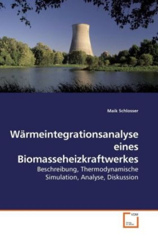 Книга Wärmeintegrationsanalyse eines Biomasseheizkraftwerkes Maik Schlosser