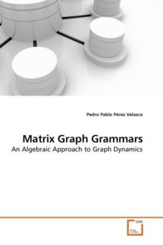 Kniha Matrix Graph Grammars Pedro Pablo Pérez Velasco