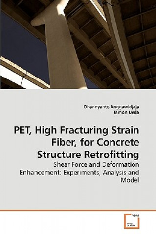 Könyv PET, High Fracturing Strain Fiber, for Concrete Structure Retrofitting Dhannyanto Anggawidjaja