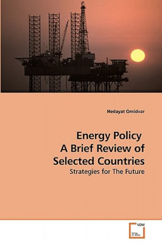 Kniha Energy Policy A Brief Review of Selected Countries Hedayat Omidvar