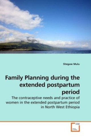 Könyv Family Planning during the extended postpartum period Shegaw Mulu