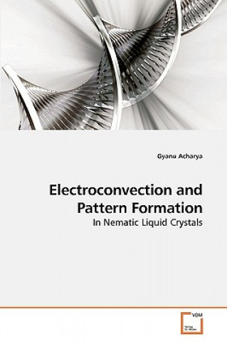 Knjiga Electroconvection and Pattern Formation Gyanu Acharya