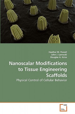 Könyv Nanoscalar Modifications to Tissue Engineering Scaffolds Heather M. Powell
